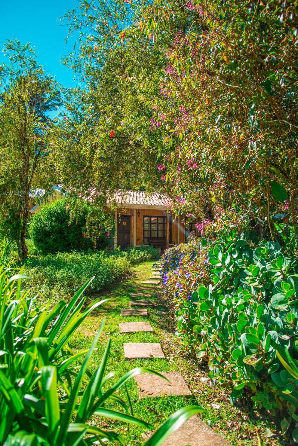 Hotel De Montana Suria San Gerardo de Dota Exteriér fotografie
