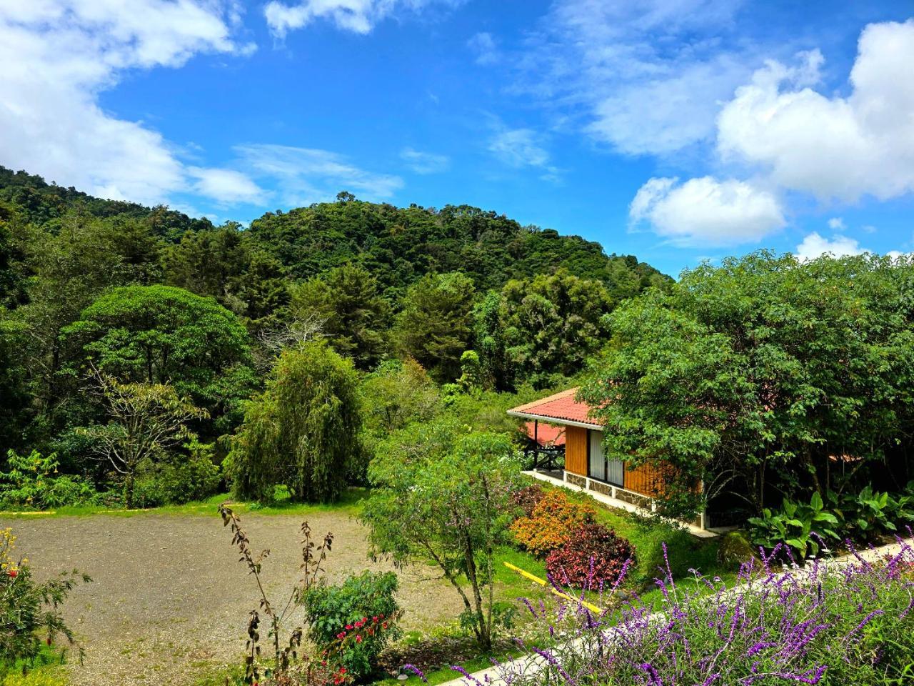Hotel De Montana Suria San Gerardo de Dota Pokoj fotografie