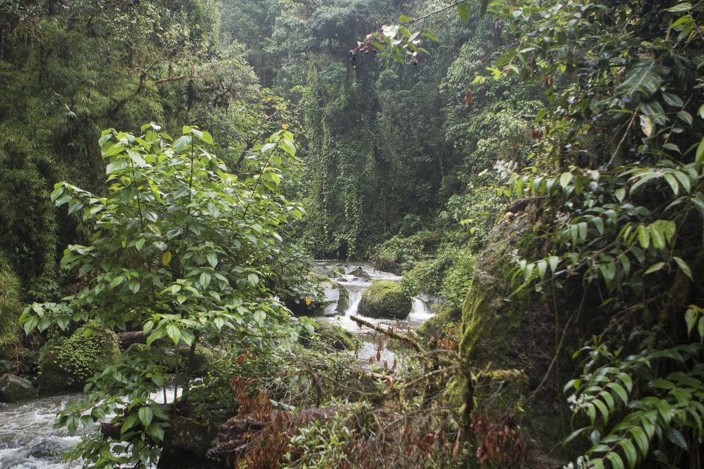 Hotel De Montana Suria San Gerardo de Dota Exteriér fotografie